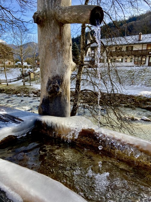 慕尼黑一日遊B線：國王湖+魔法森林