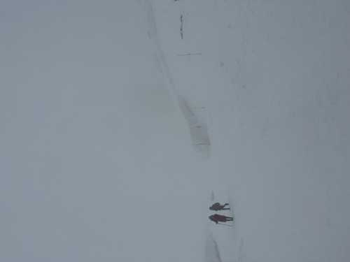 【阿爾卑斯山脈-鐵力士雪山】瑞士童話仙境四天三晚之旅