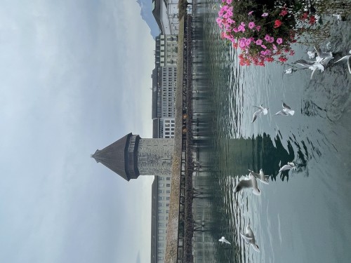 一國深度 瑞士雪國金色快車六日之旅