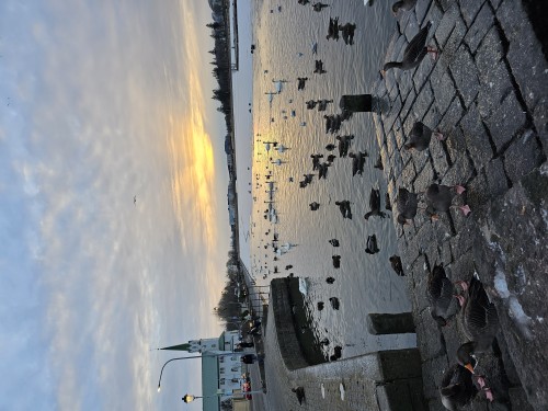 冰島