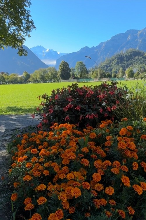 Interlaken
