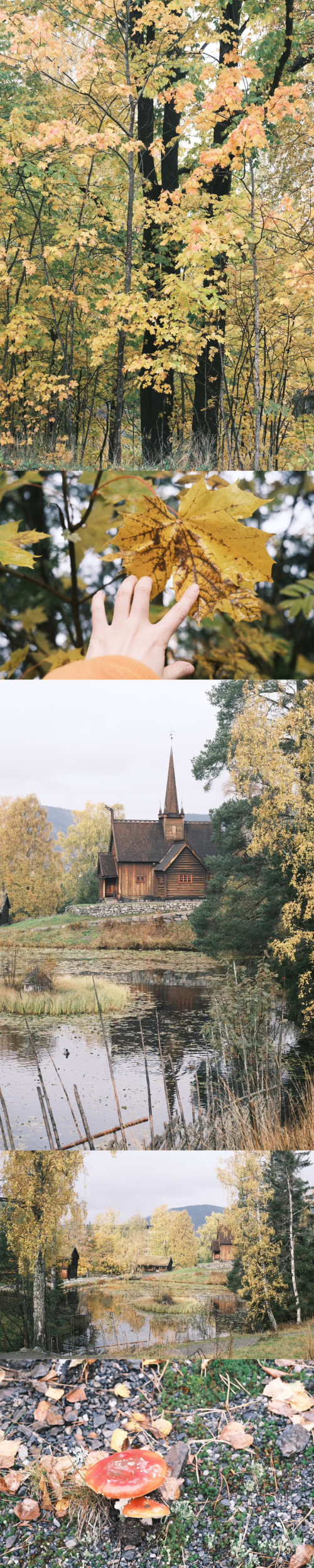 【優品甄選】不可錯過的北歐挪威峽灣精華7日遊（奧斯陸往返）