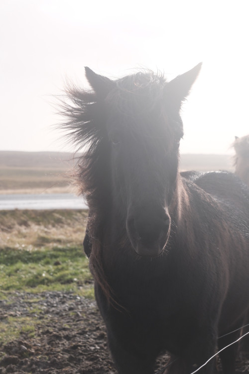 【優品甄選】冰與火之歌，冰島六日五晚深度遊
