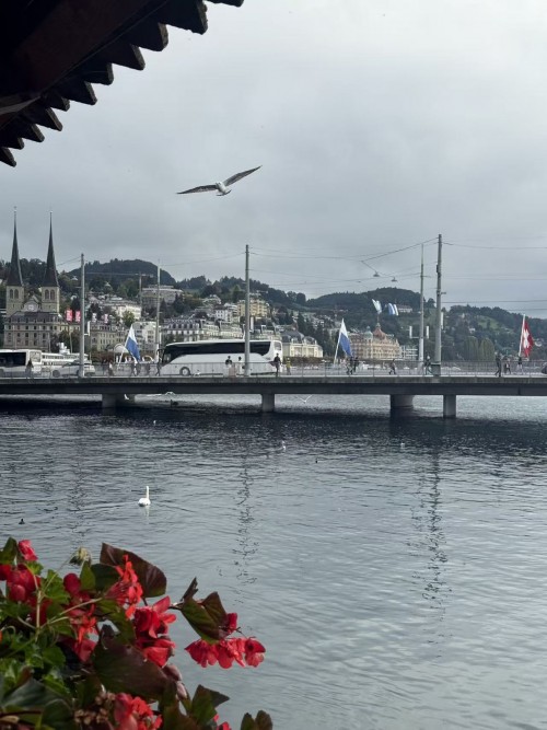 義大利南法循環線