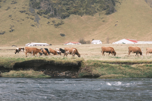 【優品甄選】冰與火之歌，冰島六日五晚深度遊