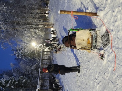 4日縱貫拉普蘭極光之旅•聖誕老人村|帝王蟹之旅|狗拉雪橇|雪地摩託追極光•贈送馴鹿農場