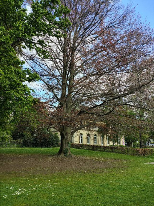 <祕境漫遊>米蘭文藝復興•普羅旺斯•瑞士雪山｜瑞士南法蔚藍海岸6日之旅