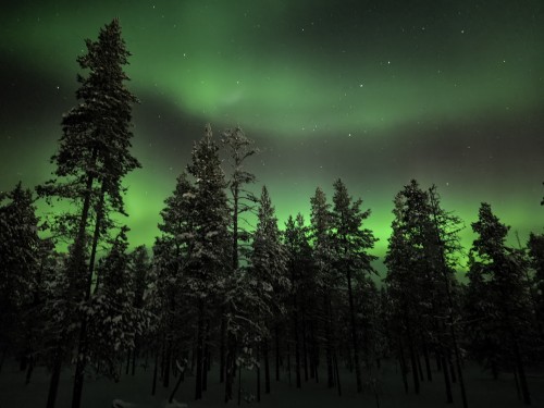 7日縱貫拉普蘭極光破冰之旅•芬蘭聖誕老人村|破冰船|帝王蟹之旅|狗拉雪橇|雪地摩託追極光|極地VR列
