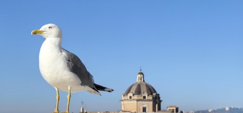Last Minute - 【優品甄選】意猶未盡義大利7天6晚深度遊