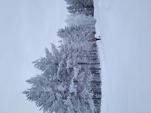 7日縱貫拉普蘭極光破冰之旅•芬蘭聖誕老人村|破冰船|帝王蟹之旅|狗拉雪橇|雪地摩託追極光|極地VR列