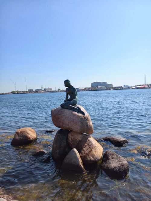 丹麥、挪威
