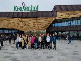 KEUKENHOF 荷蘭鬱金香花園