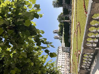 薩爾茨堡米拉貝爾花園