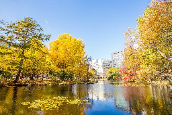 【縱貫北海道】日本北海道南北全景輕奢雙溫泉6日遊（12-2月 週二札幌新千歲機場進）