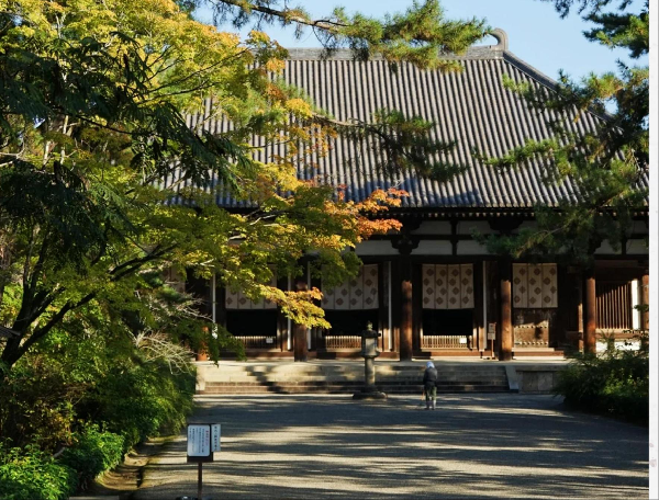 日本森之京都5日之旅（大阪往返）