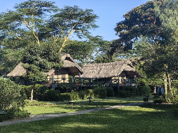 肯尼亞經典7日野生動物巡禮（英文團）