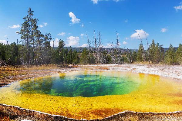 【買二送二】美國西部5日遊：大提頓國家公園+黃石國家公園（鹽湖城往返）