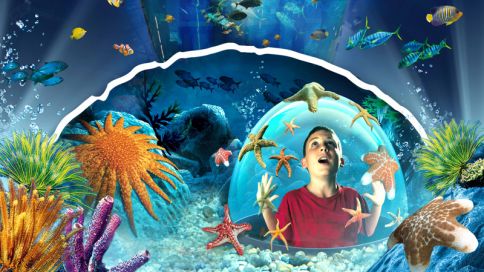Aqua Dome及Sea Life柏林水族館門票
