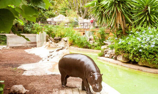 巴塞羅那動物園