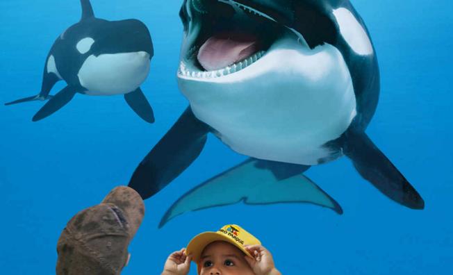 特內里費島Loro水族博物館