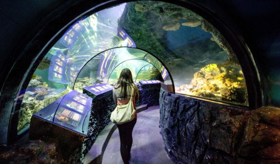 慕尼黑海洋生命水族館門票（免排隊）
