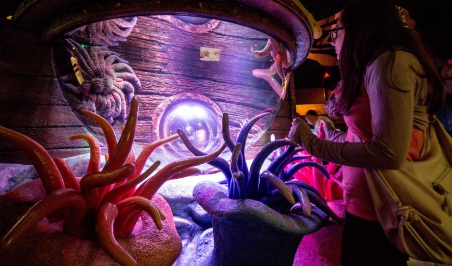 慕尼黑海洋生命水族館門票（免排隊）