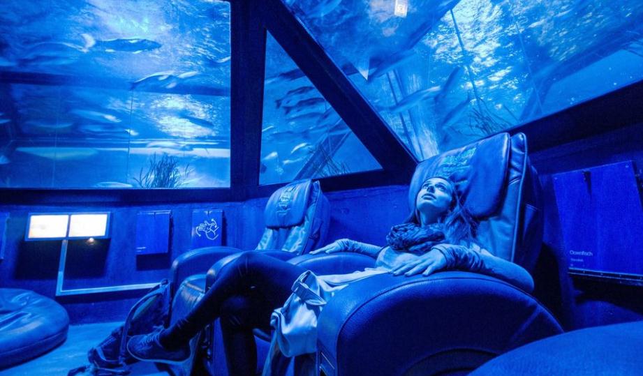 慕尼黑海洋生命水族館門票（免排隊）