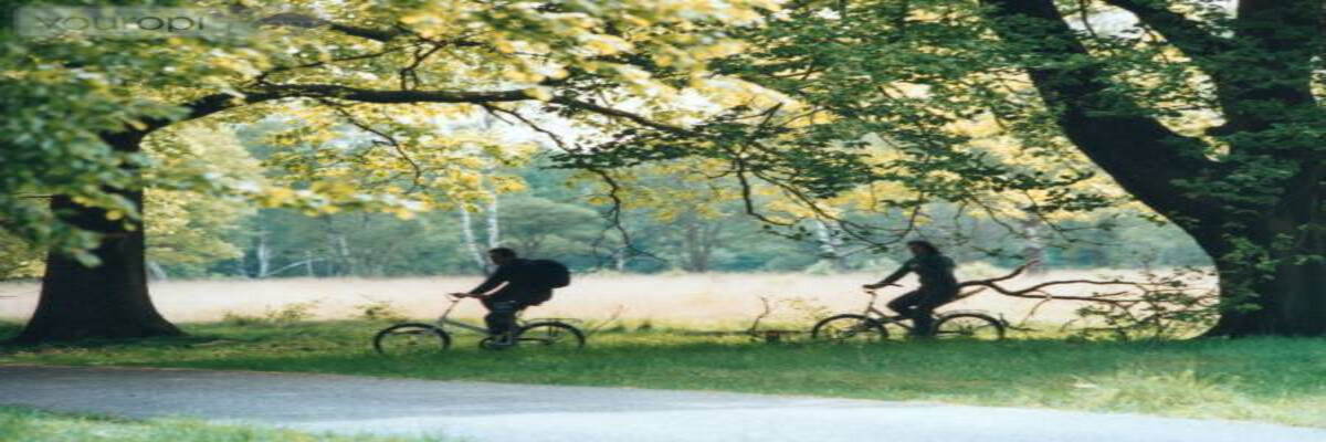 荷蘭烏得勒支旅遊__一日遊線路推薦-【荷蘭省錢遊攻略】