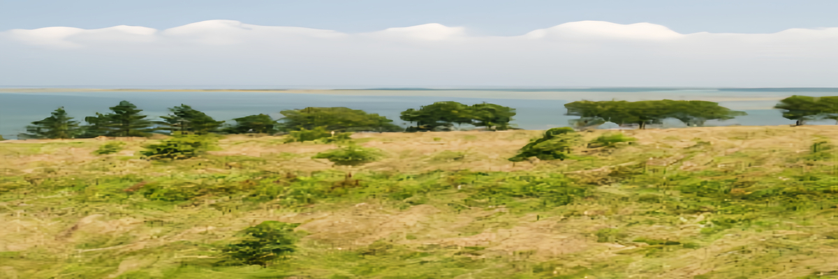 瑞典厄蘭島好玩嗎?厄蘭島景點推薦-【瑞典自由行攻略】