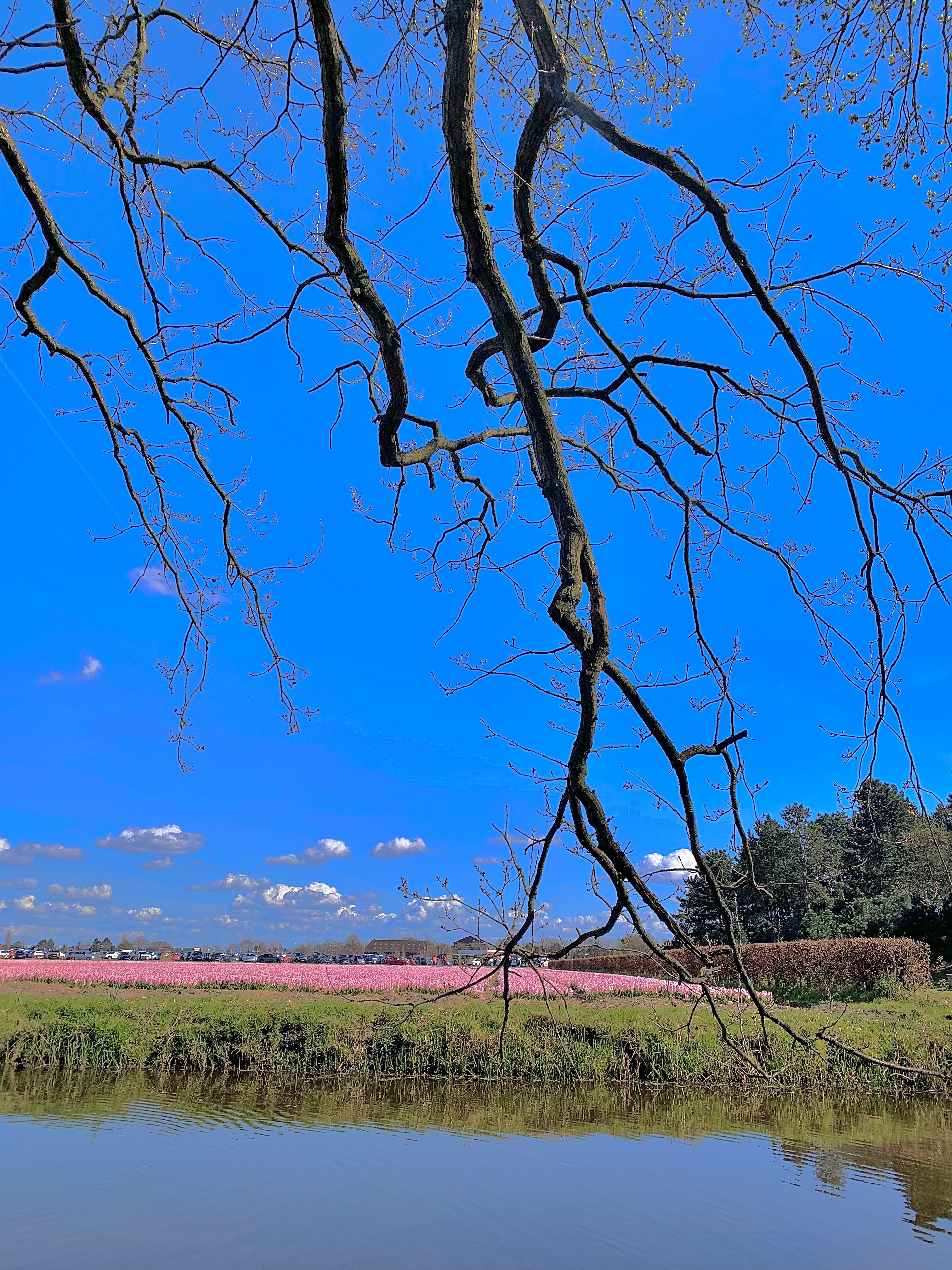 杜塞爾多夫旅行指南<